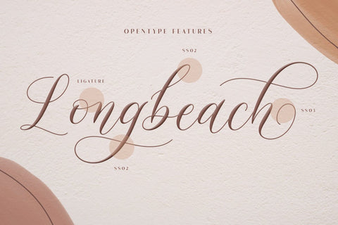Mockingbird | Modern Calligraphy Font studioalmeera 