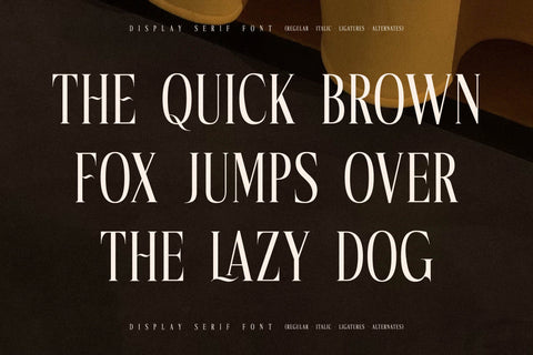 Mocnetla Typeface Font Storytype Studio 