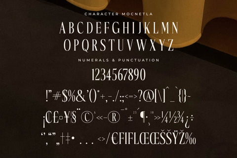 Mocnetla Typeface Font Storytype Studio 