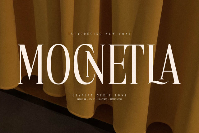 Mocnetla Typeface Font Storytype Studio 