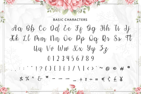 Modena - Modern Calligraphy Font Font Alpaprana Studio 