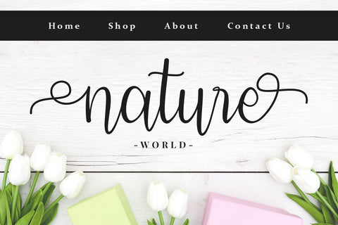 Modena - Modern Calligraphy Font Font Alpaprana Studio 