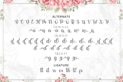 Modena - Modern Calligraphy Font Font Alpaprana Studio 
