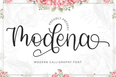 Modena - Modern Calligraphy Font Font Alpaprana Studio 