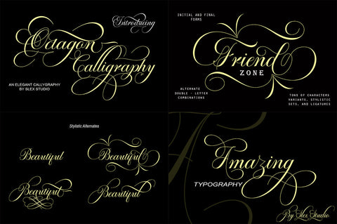 Modern Calligraphy Font Bundle Font Slex Creative 
