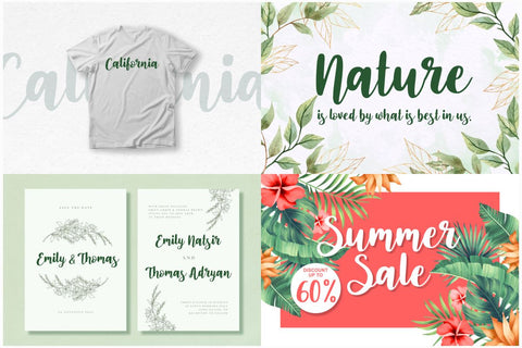 Modern Crafting Bundle with 70+ Fonts | LIMITED TIME OVER Font Forberas 