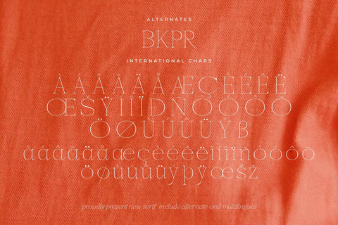 Moenalica Typeface Font Storytype Studio 