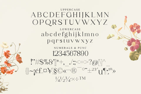 MOFAZE DEL MONTE Typeface Font Storytype Studio 