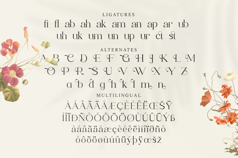 MOFAZE DEL MONTE Typeface Font Storytype Studio 