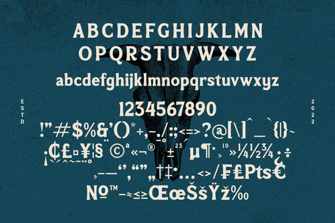 Mofeika Typeface Font Storytype Studio 