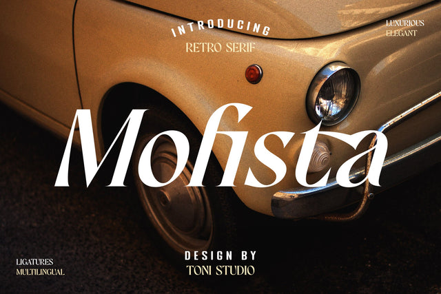 Mofista-Nostalgic Serif Typeface Font toni_std 