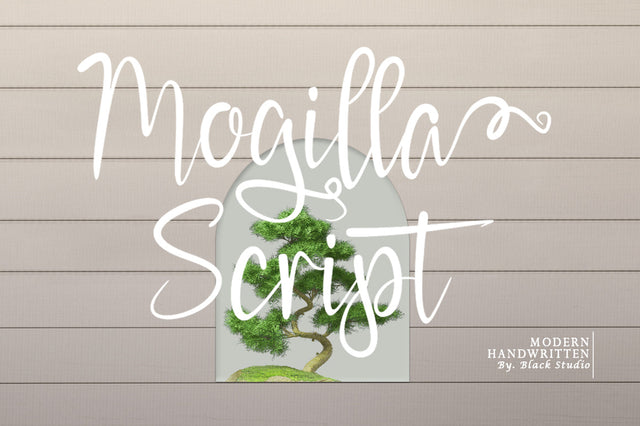 Mogilla Script Font Black Studio 