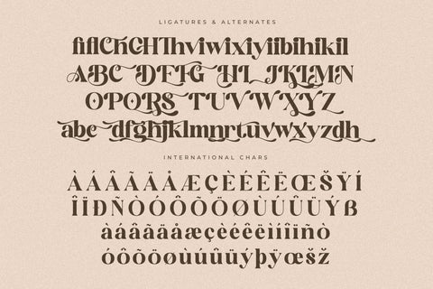 Mogilte Typeface Font Storytype Studio 