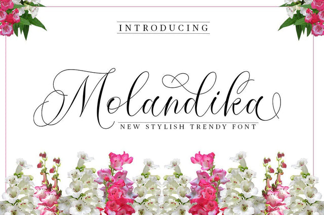 Molandika Script Font Great Studio
