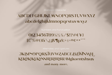 Moldern - Classy Serif Font Arterfak Project 