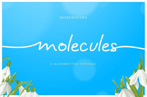 Molecules Script Font Anastasia 