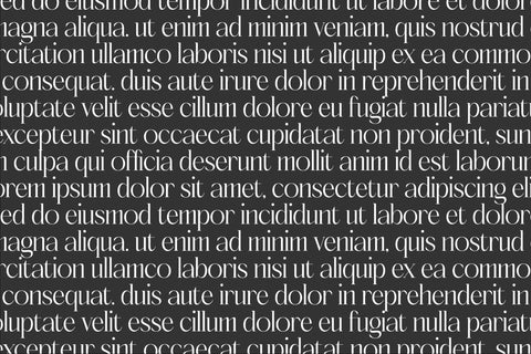 Molerta Typeface Font Storytype Studio 