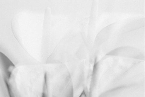 Molerta Typeface Font Storytype Studio 