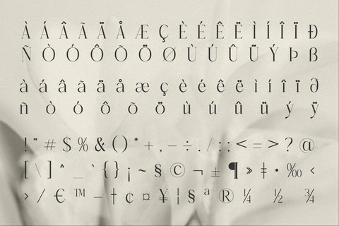 Molerta Typeface Font Storytype Studio 