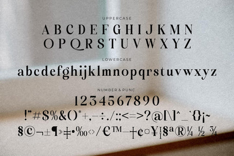 Molgiant Belliontera Font Duo Font Storytype Studio 