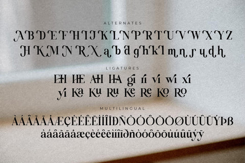 Molgiant Belliontera Font Duo Font Storytype Studio 