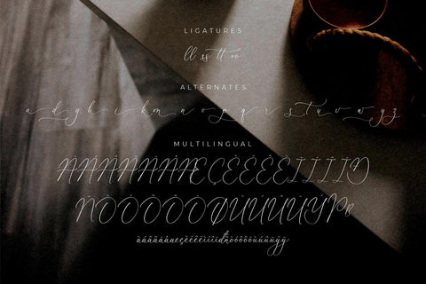 Molgiant Belliontera Font Duo Font Storytype Studio 