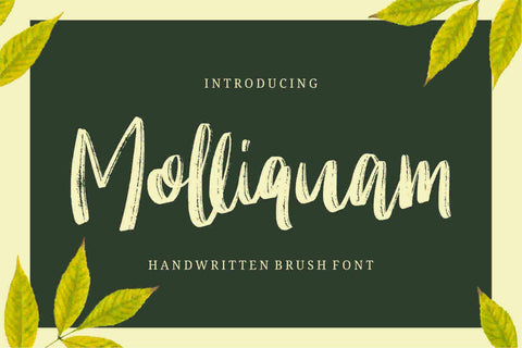 Molliquam Font Garisman Studio 