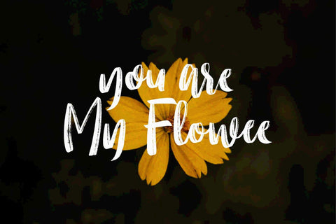 Molliquam Font Garisman Studio 