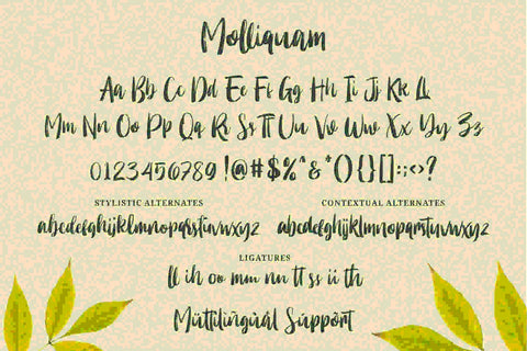 Molliquam Font Garisman Studio 