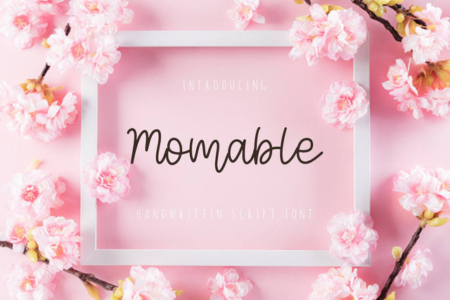 Momable Font dapiyupi store 
