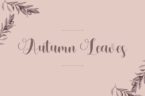 Momentum Healing Font Wildan Type 