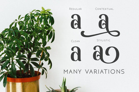 Monabelia Font Arterfak Project 