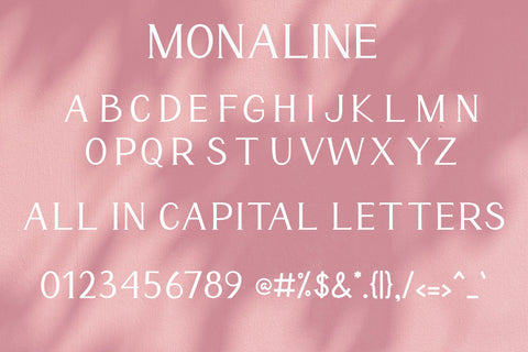 Monaline - Modern Serif Font Font AEN Creative Store 