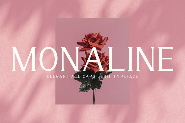 Monaline - Modern Serif Font Font AEN Creative Store 