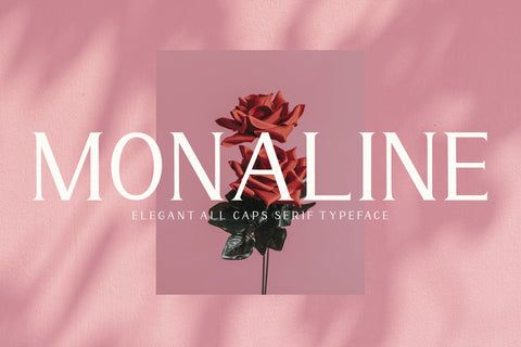 Monaline - Modern Serif Font Font AEN Creative Store 