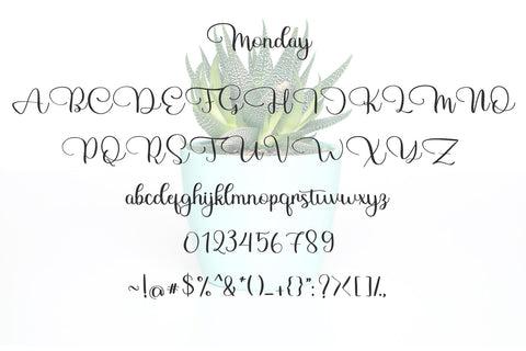 Monday Font letterbeary 