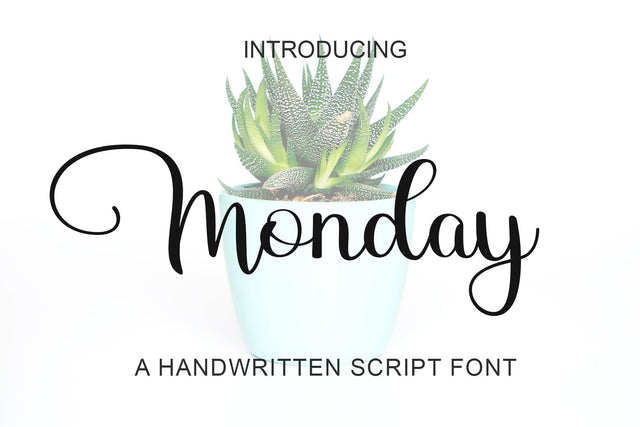 Monday Font letterbeary 