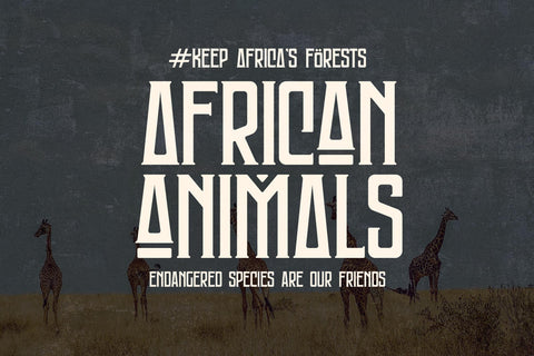 MONGONDOW Typeface Font Storytype Studio 