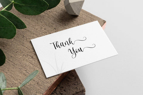 monica script Font Anastasia 