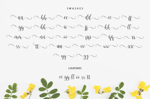 monica script Font Anastasia 