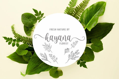 monica script Font Anastasia 