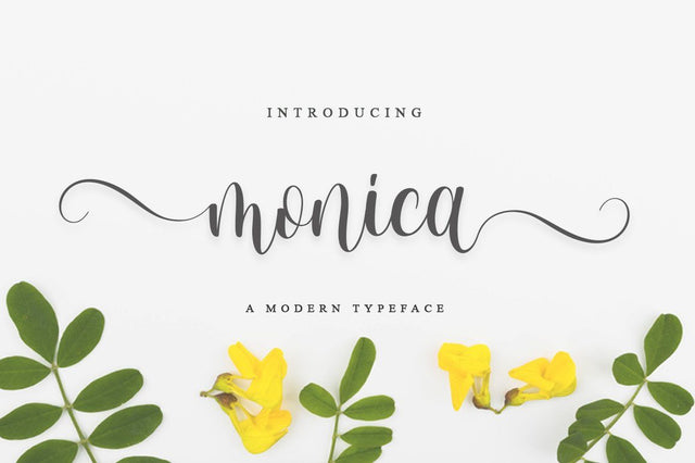monica script Font Anastasia 