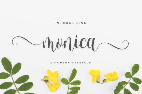 monica script Font Anastasia 