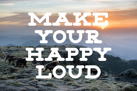 Monkey Slab - Modern Slab Serif Typeface Font Masyafi Studio 