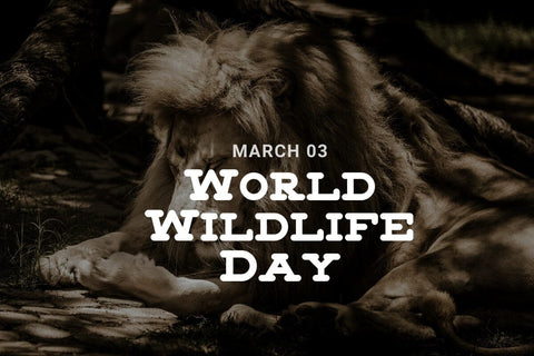 Monkey Slab - Modern Slab Serif Typeface Font Masyafi Studio 