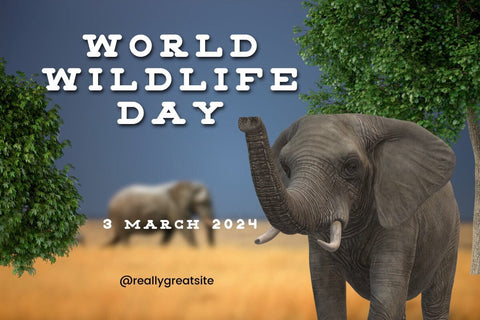 Monkey Slab - Modern Slab Serif Typeface Font Masyafi Studio 