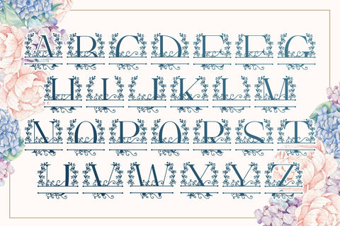 Monogram Handdrawn Vine Font Dm Letter Studio 