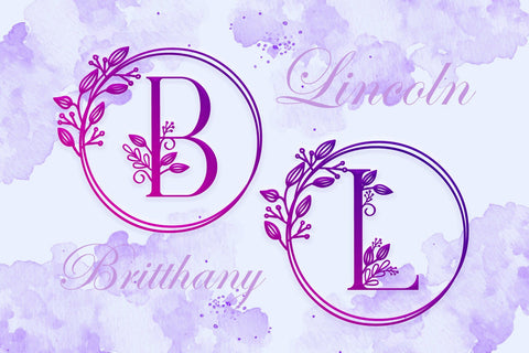 Monogram Handrawn Leaves Font Dm Letter Studio 