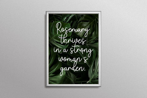 Monokind Script - Monoline Handwritten Font PutraCetol Studio 