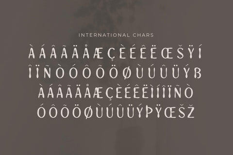 Monotime Typeface Font Storytype Studio 